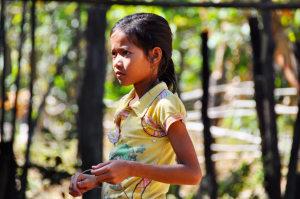 Train Your Brain! Cognitive Development and Mental Fitness